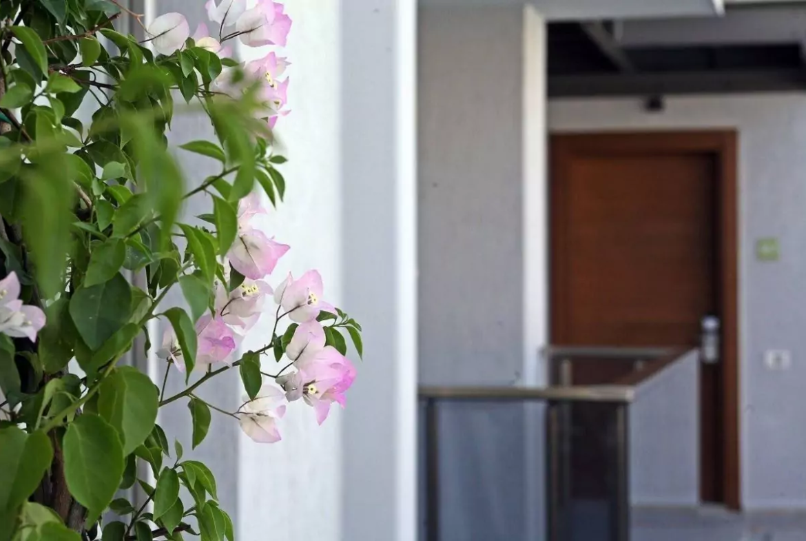 Furnished Apartments for Sale in Bodrum Gümbet