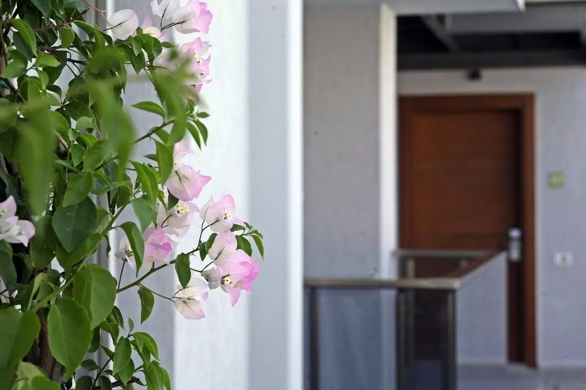 Furnished Apartments for Sale in Bodrum Gümbet