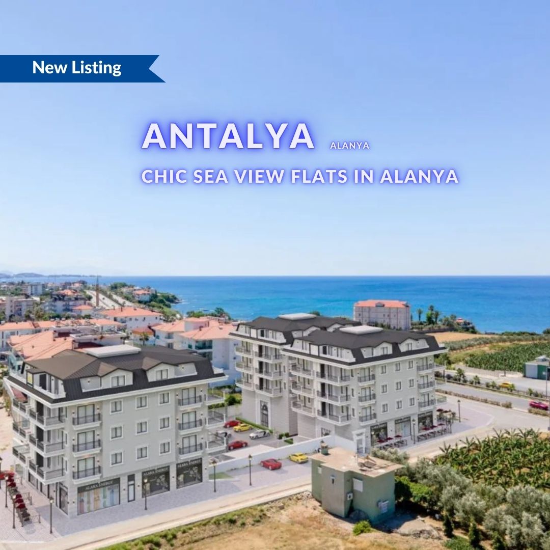 AYT-03366